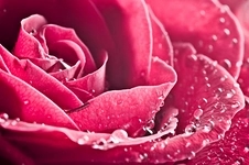 87X58PICwW8.webp